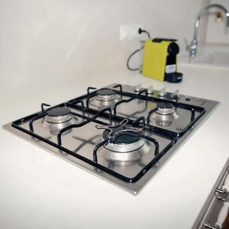 Apartament Franz Haus *